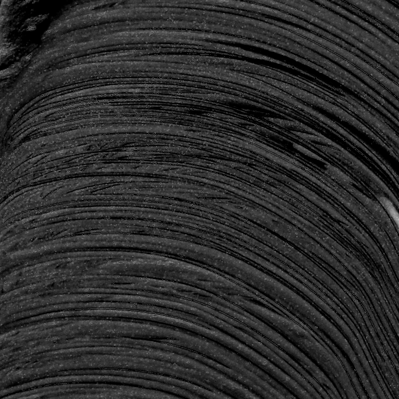 Rimel Big Bold Black - Isadora