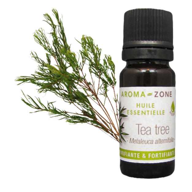 Huile essentielle Tea tree (Arbre à Thé) 30ml