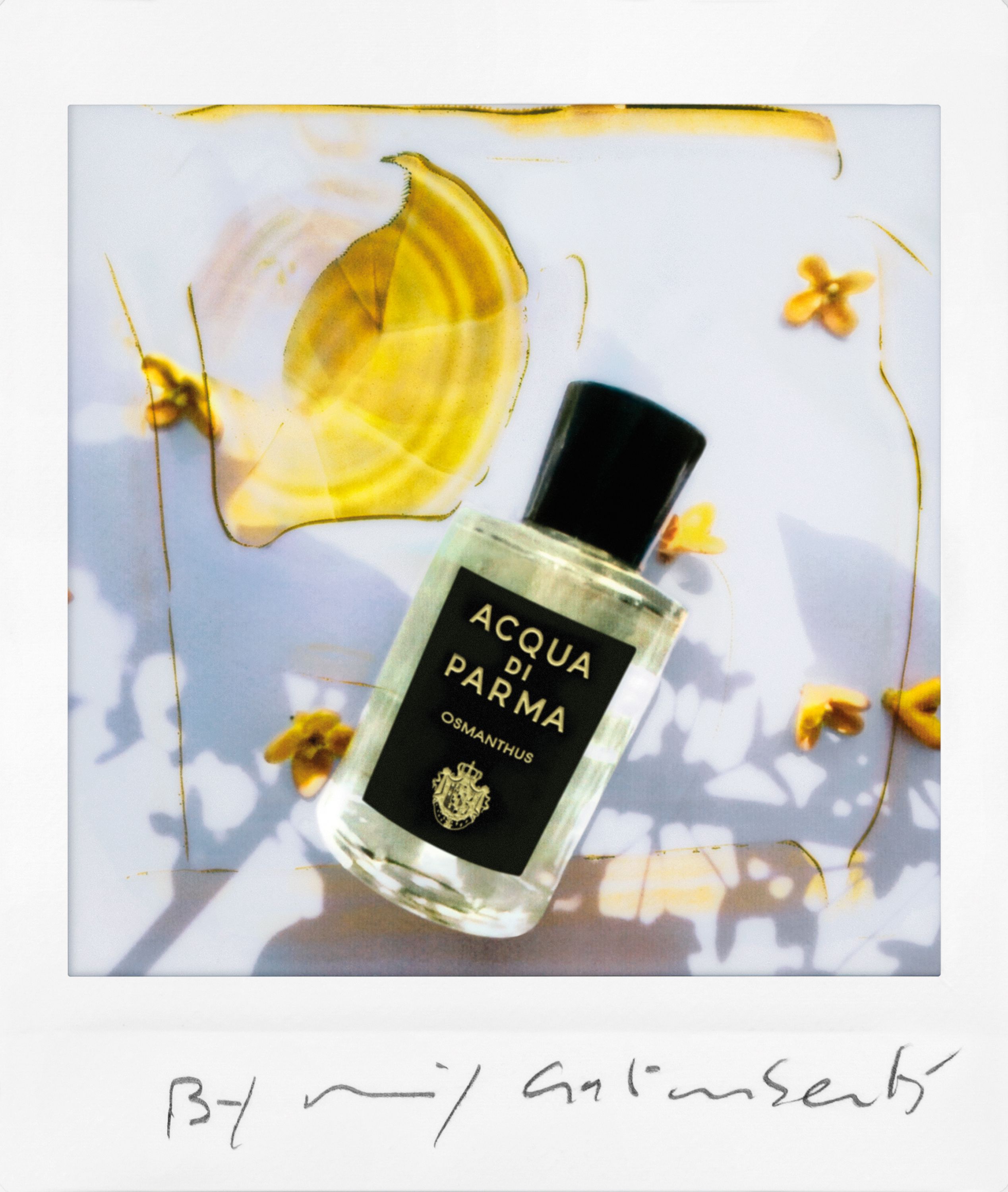 Podpisi Sun Osmanthus Eau de Parfum Perfumes de Mujer