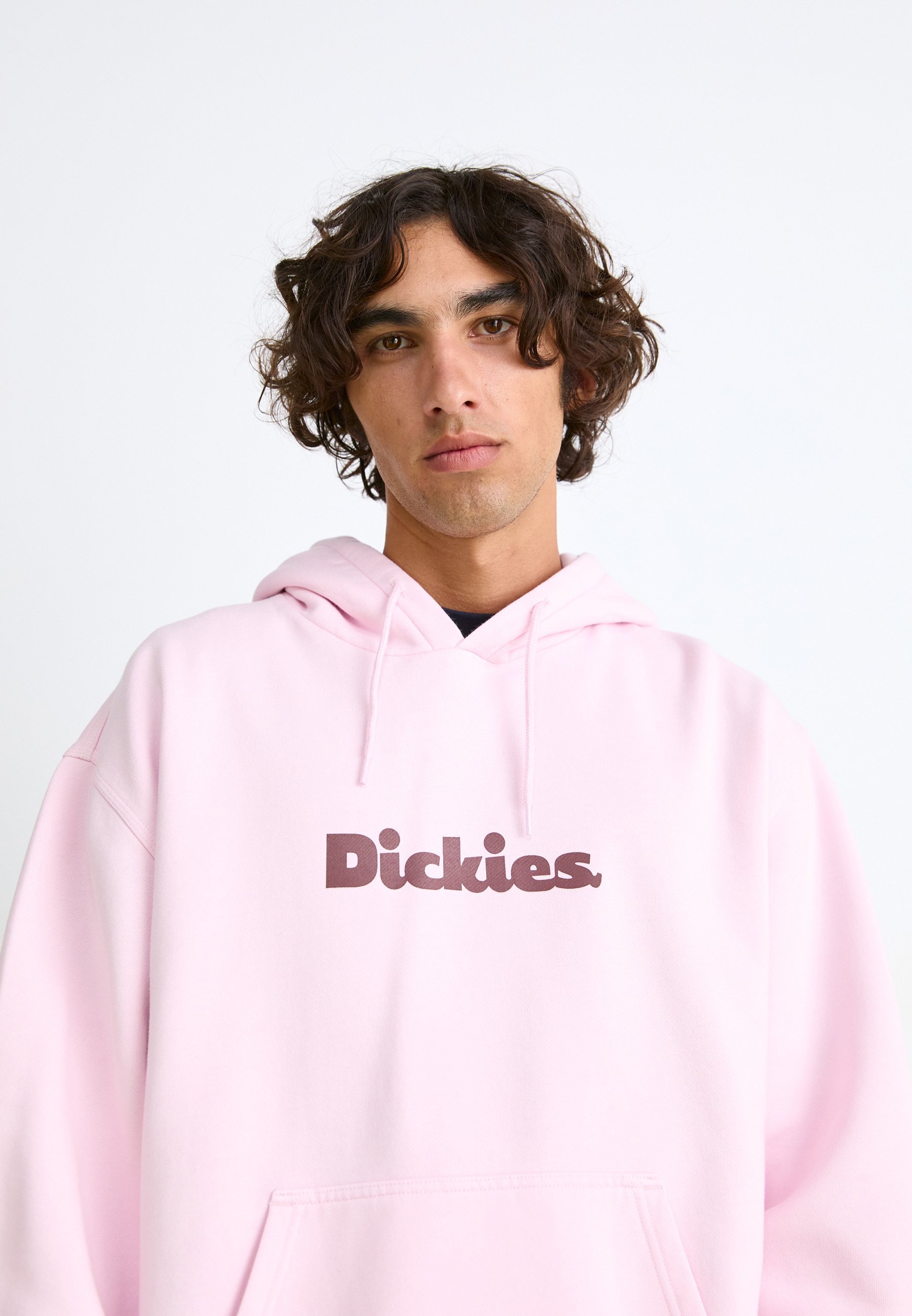 Dickies Hoodies