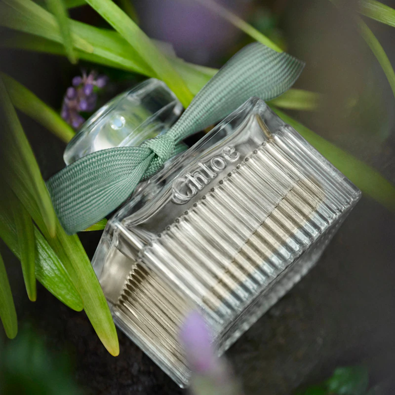 Chloé Rose Naturelle Intense Eau de Parfum frasco recarregável para mulheres