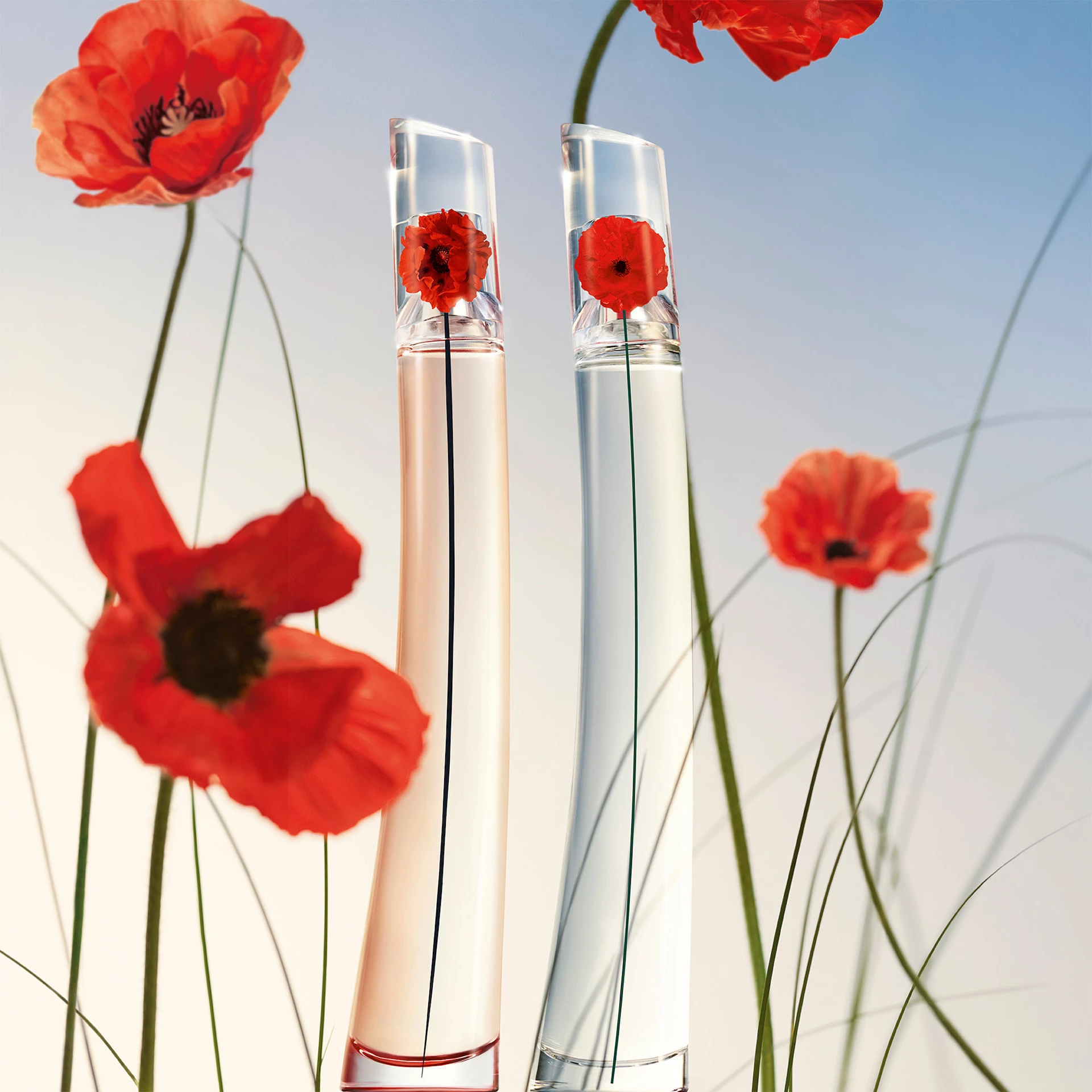 Flower By Kenzo L'Absolue EdP 30 ml - Kenzo