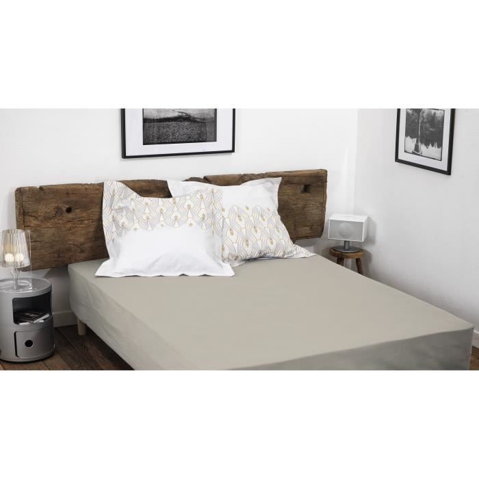 Lenzuolo con angoli elasticizzati - HOME LINGE PASSION - 160x200 cm - 100% cotone 57 fili - Beige avorio