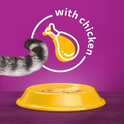 Whiskas 1+ Kylling