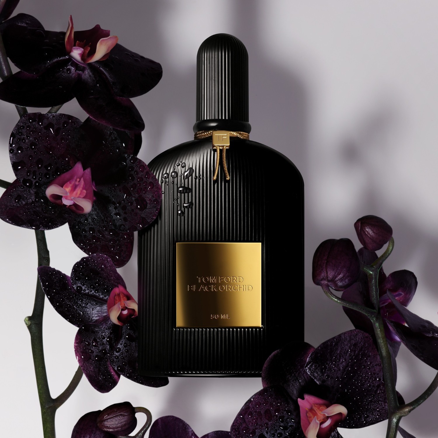 TOM FORD parfumūdens Damenduft Schwarze Orchidee - 10 ml