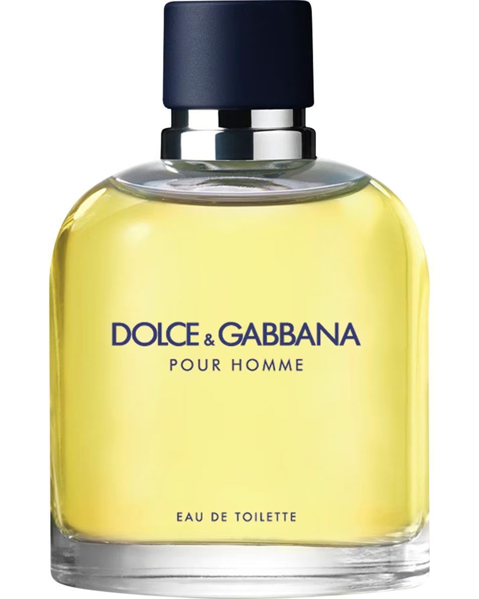 DOLCE & GABBANA POUR HOMME TOALETNA VODA