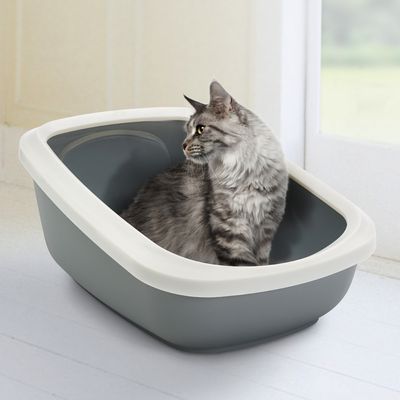 Savic Aseo Jumbo Katzentoilette mit hohem Rand – 67,5 cm