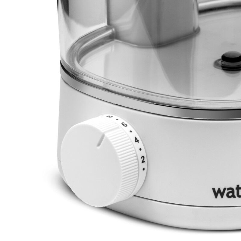 Waterpik WF-11 (ION)