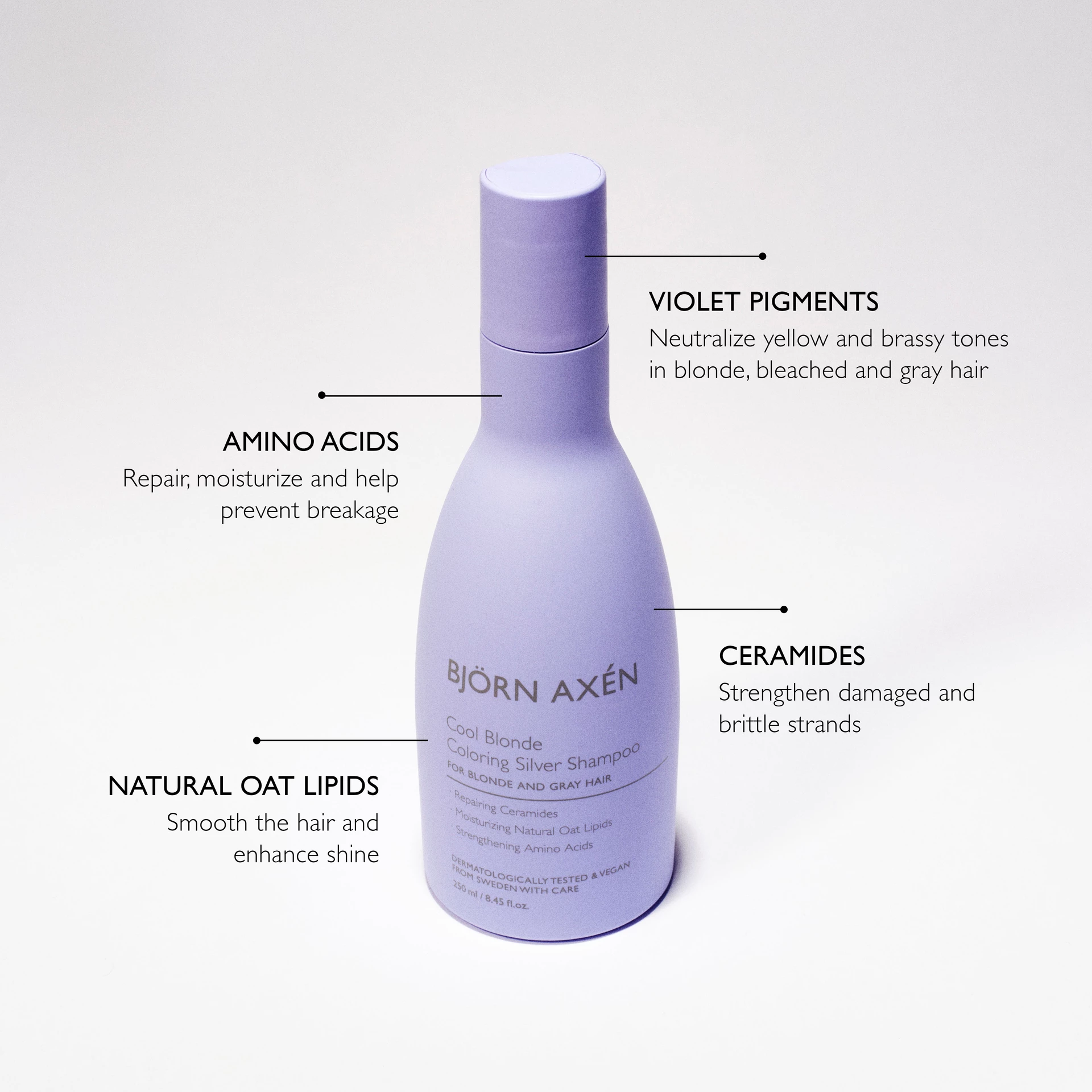 Cool Blonde Coloring srebrni šampon 250 ml - Björn Axén