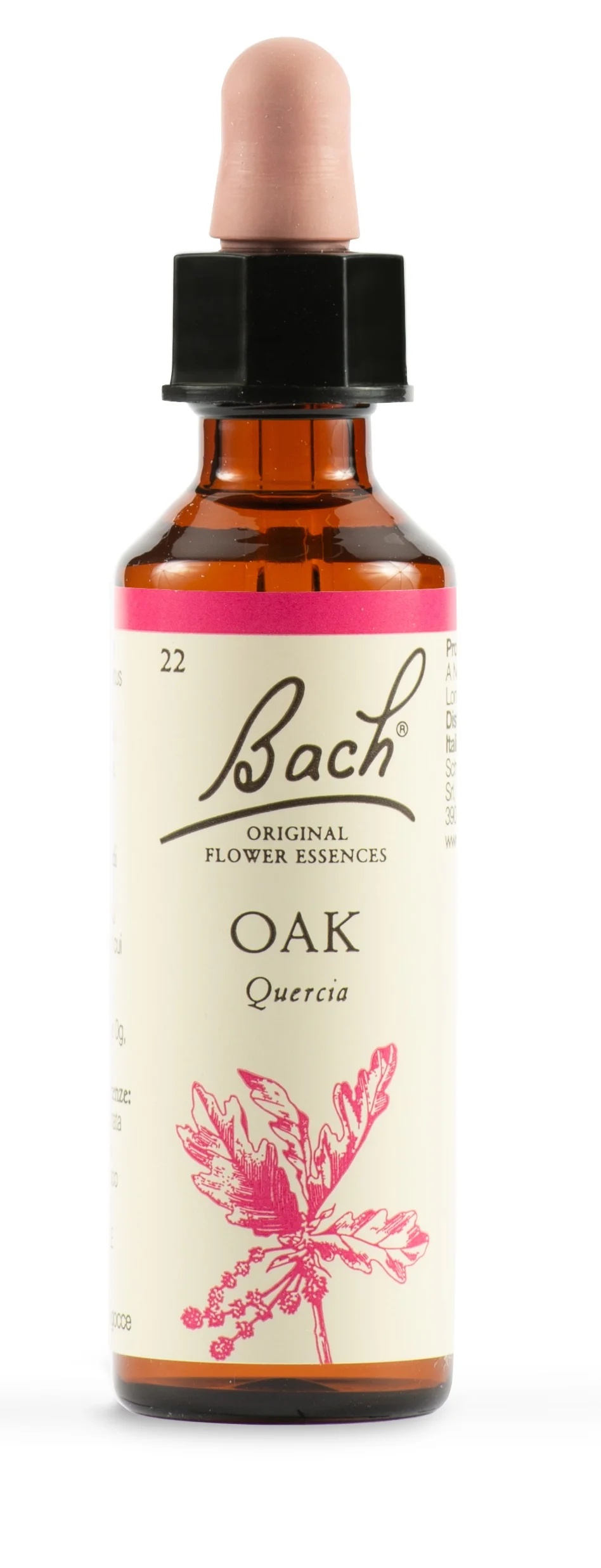 SCHWABE Schwabe Bachbloesems 22 eiken druppels 20 ml