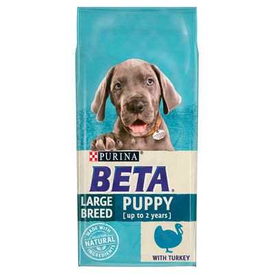 BETA Puppy Large Race Kalkun