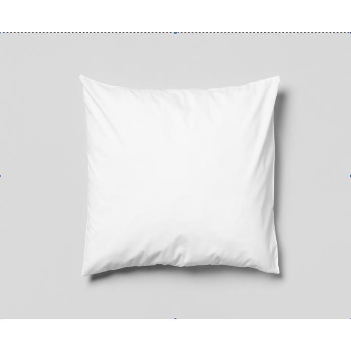 Almohadas - PROMOCIÓN DE LINO - Poliéster - 60x60 cm - Blanco (Juego de 2)