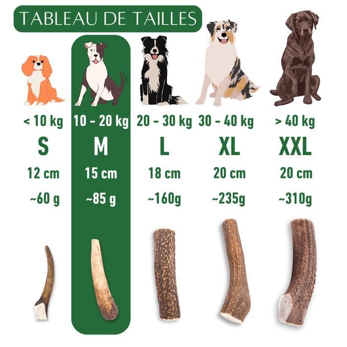 Asta de ciervo entera para que los perros la mastiquen, tamaño M, premio para cachorros y perros de todas las edades, juguete para masticar, 1 pieza.