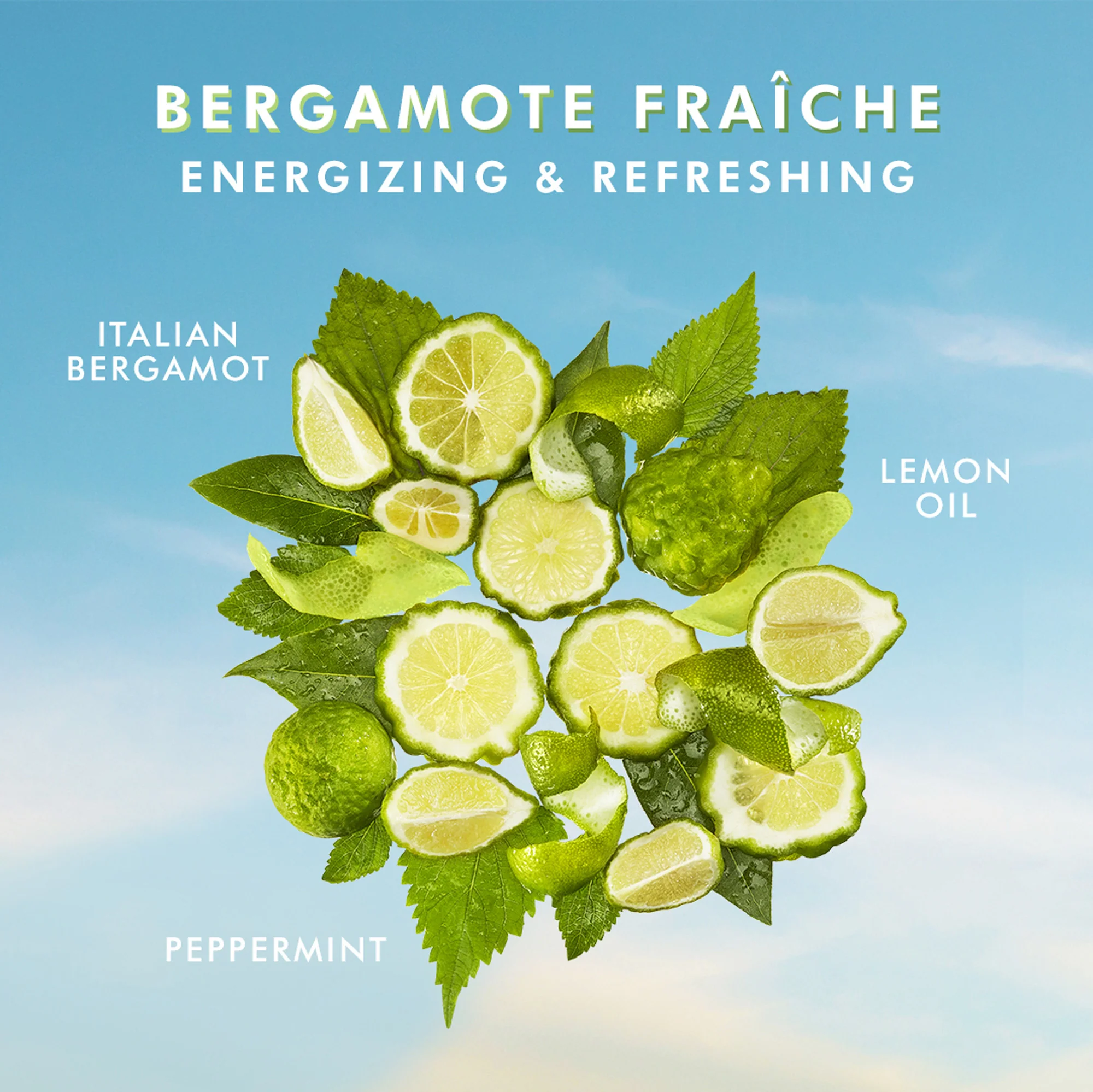 Body hand cream bergamote fraîche - Trattamento Mani