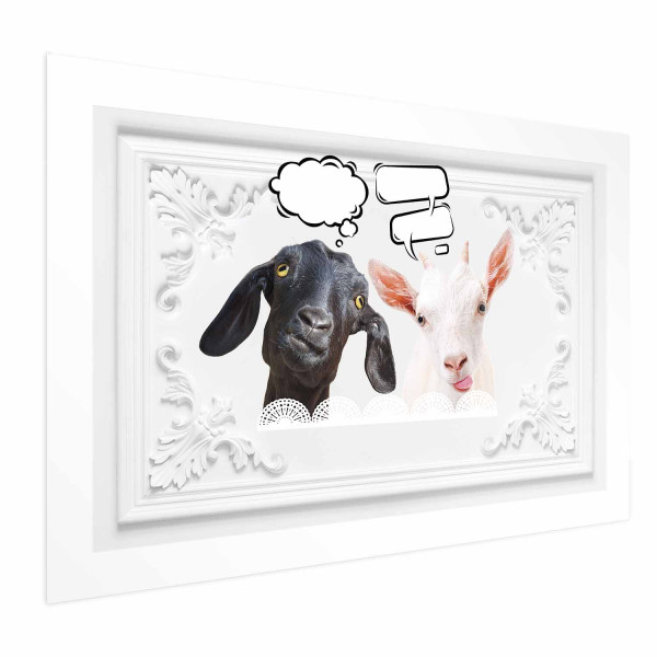 Plakat Śmieszne kozy 30x21 cm