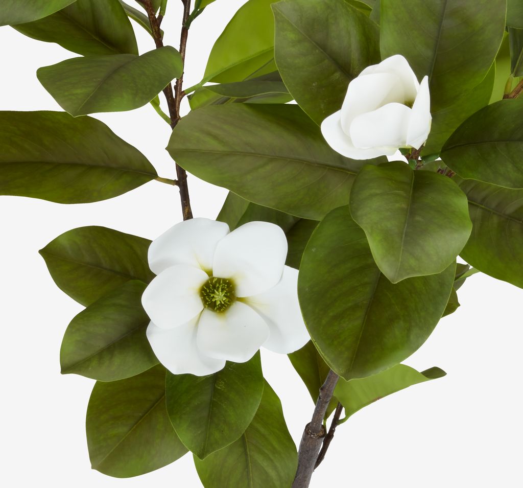 VRETENO Umjetna biljka VRETENO V120cm magnolija