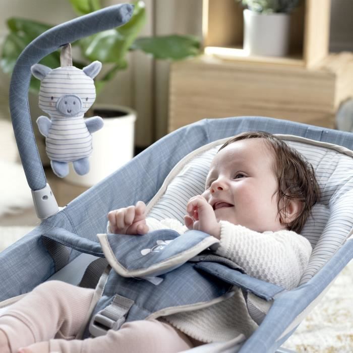 INGENUITY Baby Rocking Bouncer met buikmassage, chambraystof, babycadeau, ultracompact opvouwbaar met opbergtas