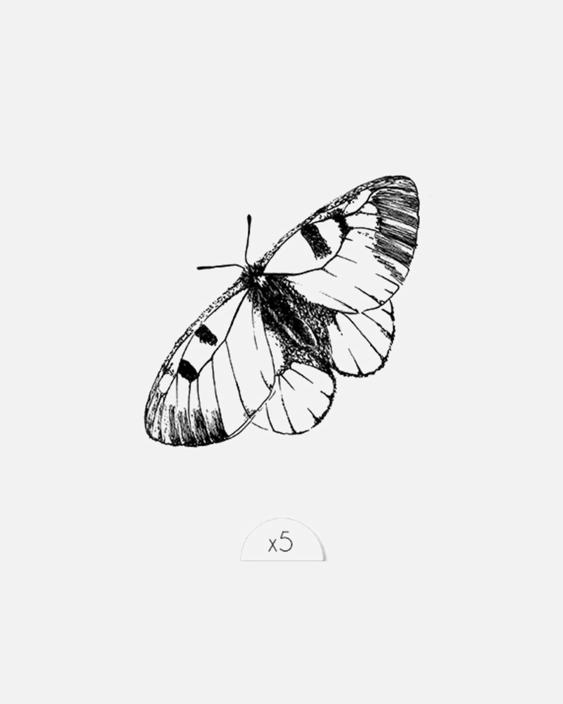 Sioou Papillon noir