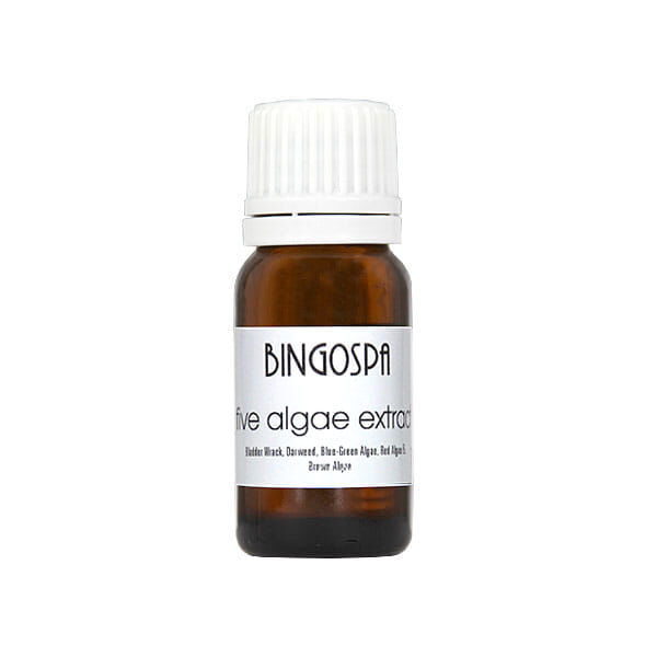 Bingospa