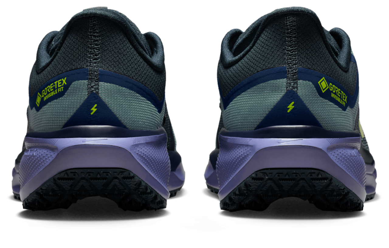 Nike Pegasus 41 Gore-tex