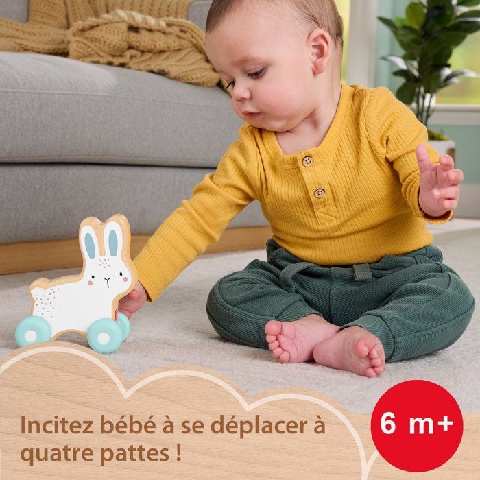 Fisher-Price Houten Duwkonijn - Kruipspeelgoed - 1 stuk - Geschikt voor kinderen vanaf 6 maanden - JDM52