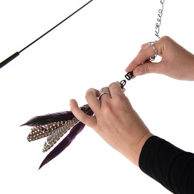 Jouet suspendu pour chat et oiseau