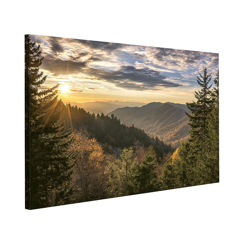 Canvastavla 40x60 cm