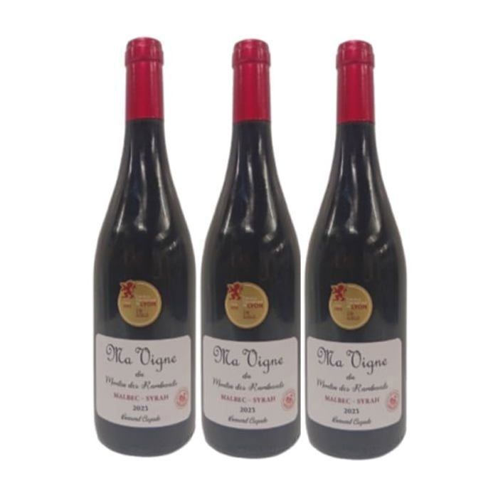 Malbec - Syrah 12% - Moulin des Rambaud 2023 