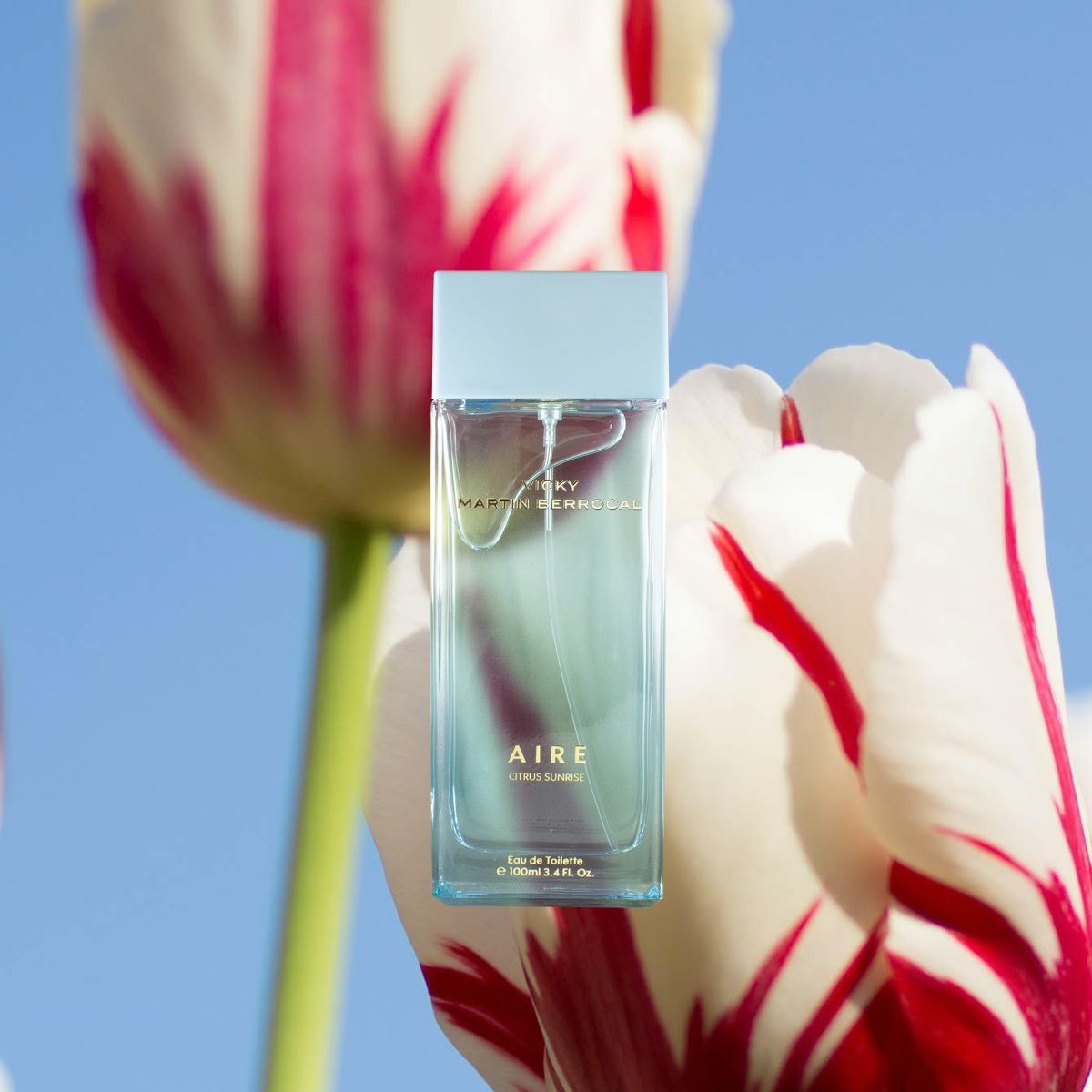 Aire Eau de Toilette set Eau de toilette (EDT)