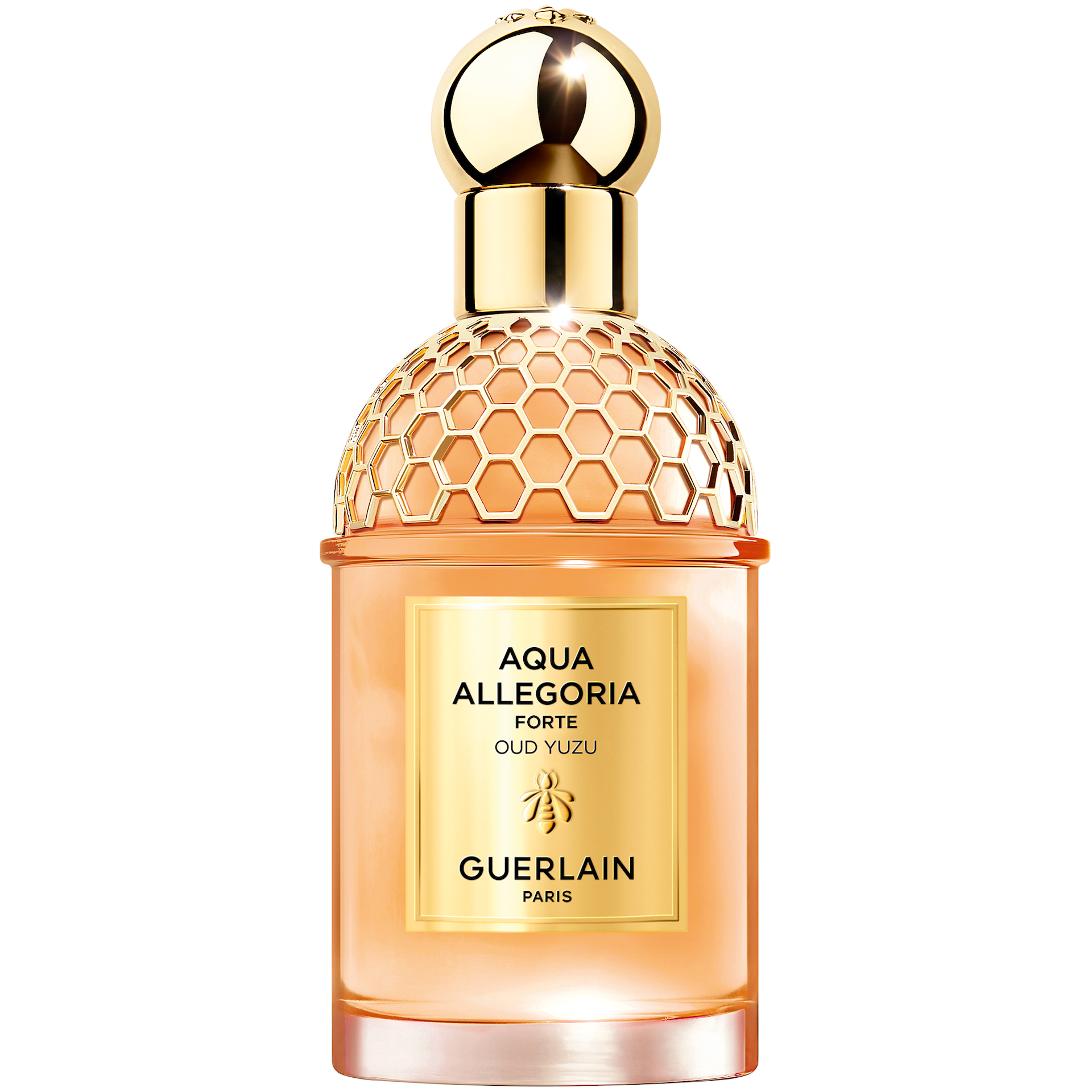 Aqua Allegoria Forte Oud Yuzu EdP 75 ml - GUERLAIN