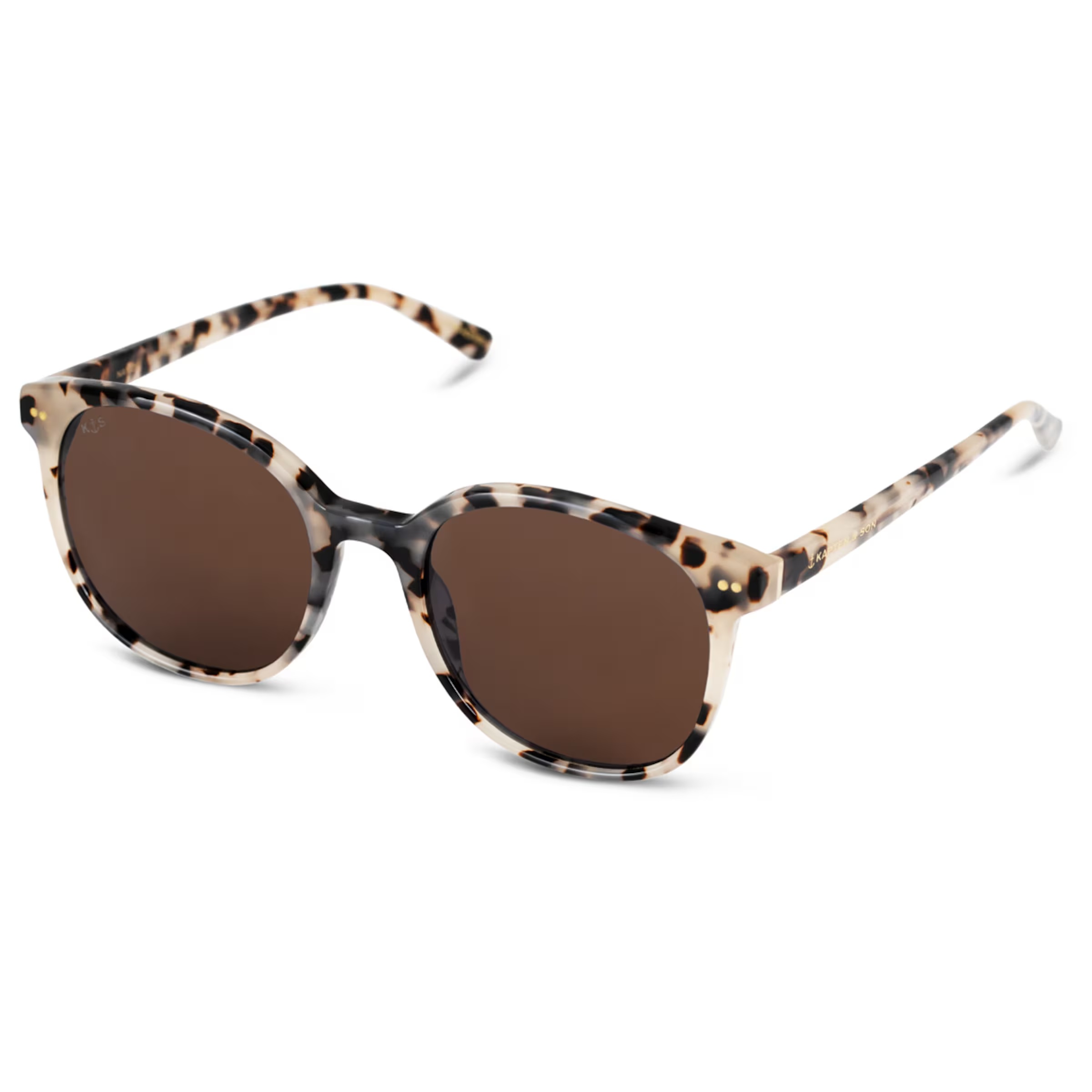 Tortue des sables de Nairobi brune