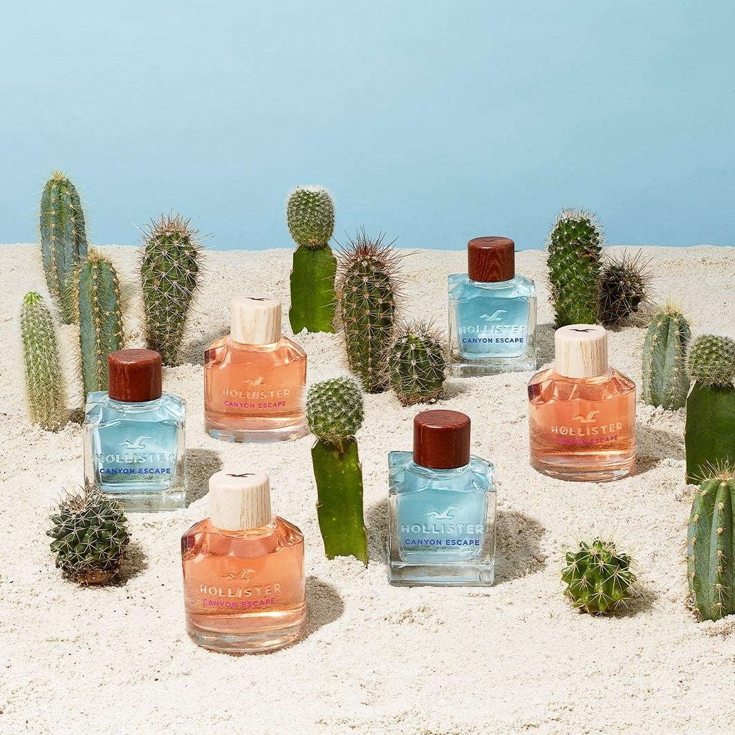 Hollister toaletna voda Canyon Escape za moške - 30 ml