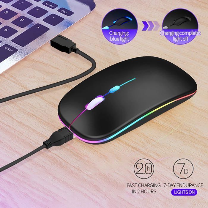 Souris sans Fil, Bluetooth - récepteur USB 2,4 GHz - Rechargeable, pour PC et Ordinateur Portable Compatible, Noir