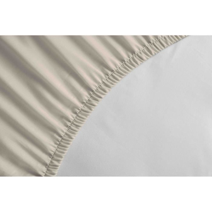 Sábana bajera ajustable - HOME LINGE PASSION - HP72114 - Microfibra de 82 g - 160 x 200 cm - Bolsillo profundo de 30 cm - Beige marfil
