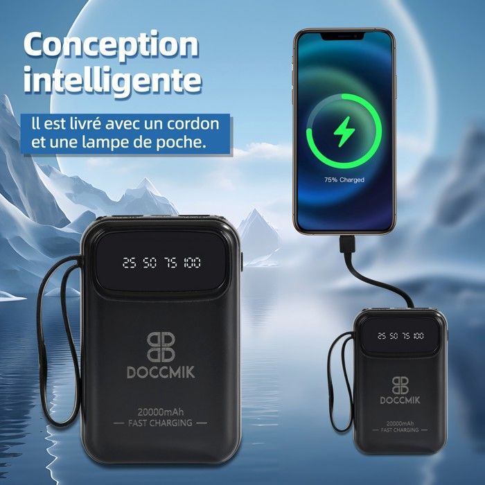 DOCCMIK Batterie Externe 20000mAh Power Bank avec 4 Câbles Intégrés Batterie Portable et LED Lampe Noir