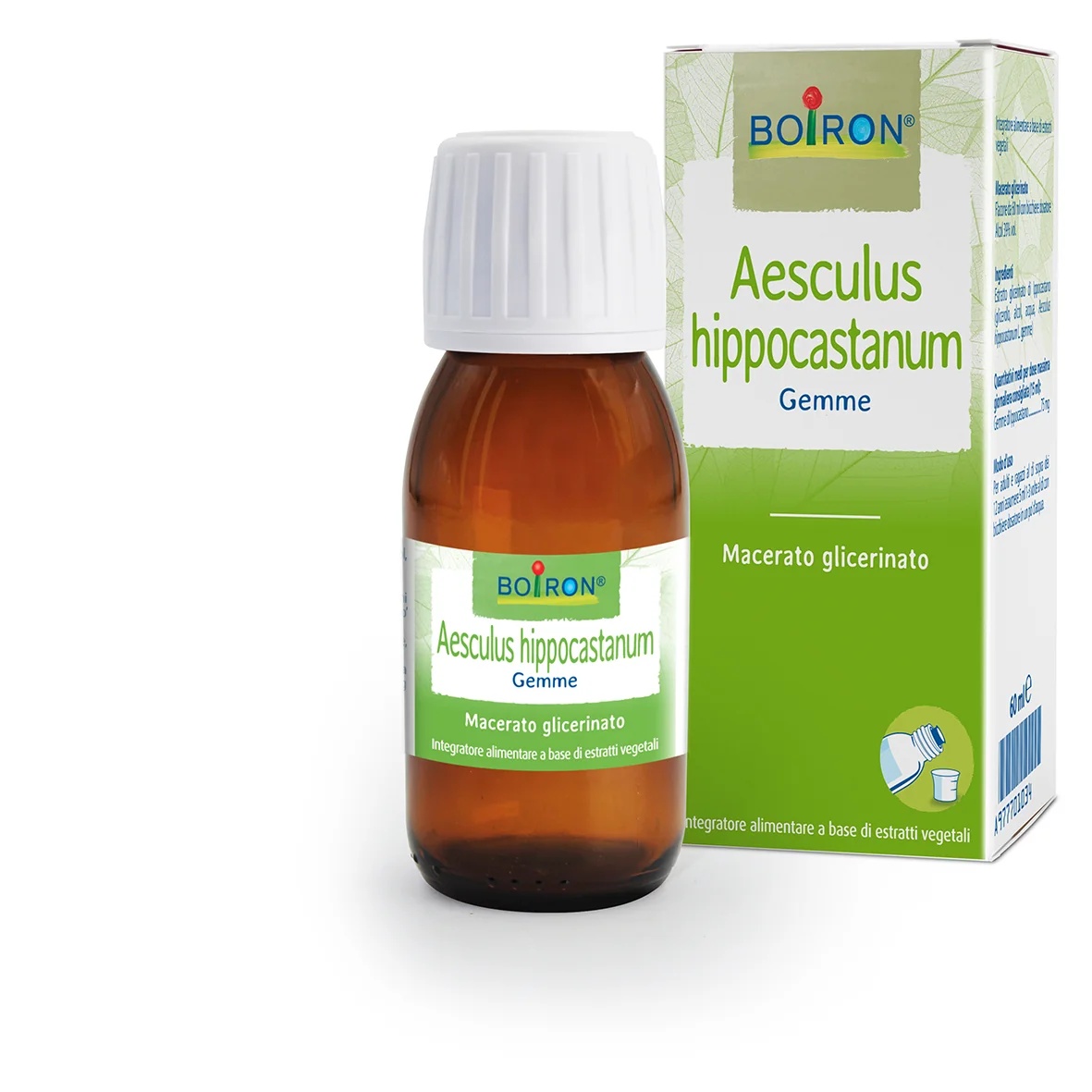 BOIRON Maceraat Aesculus Hippocastanum Boi Glycerinaat 60 ml Int Aesculus Hippocastanum