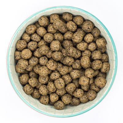 Burns Grain Free Adult Dry Dog Food – Duck & Potato