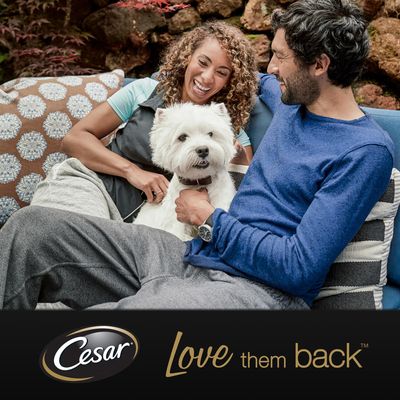 Cesar Classic Vassoi 14 x 150 g