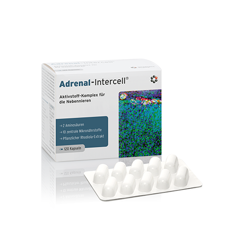 Mito-Pharma Osteo-Intercell CF