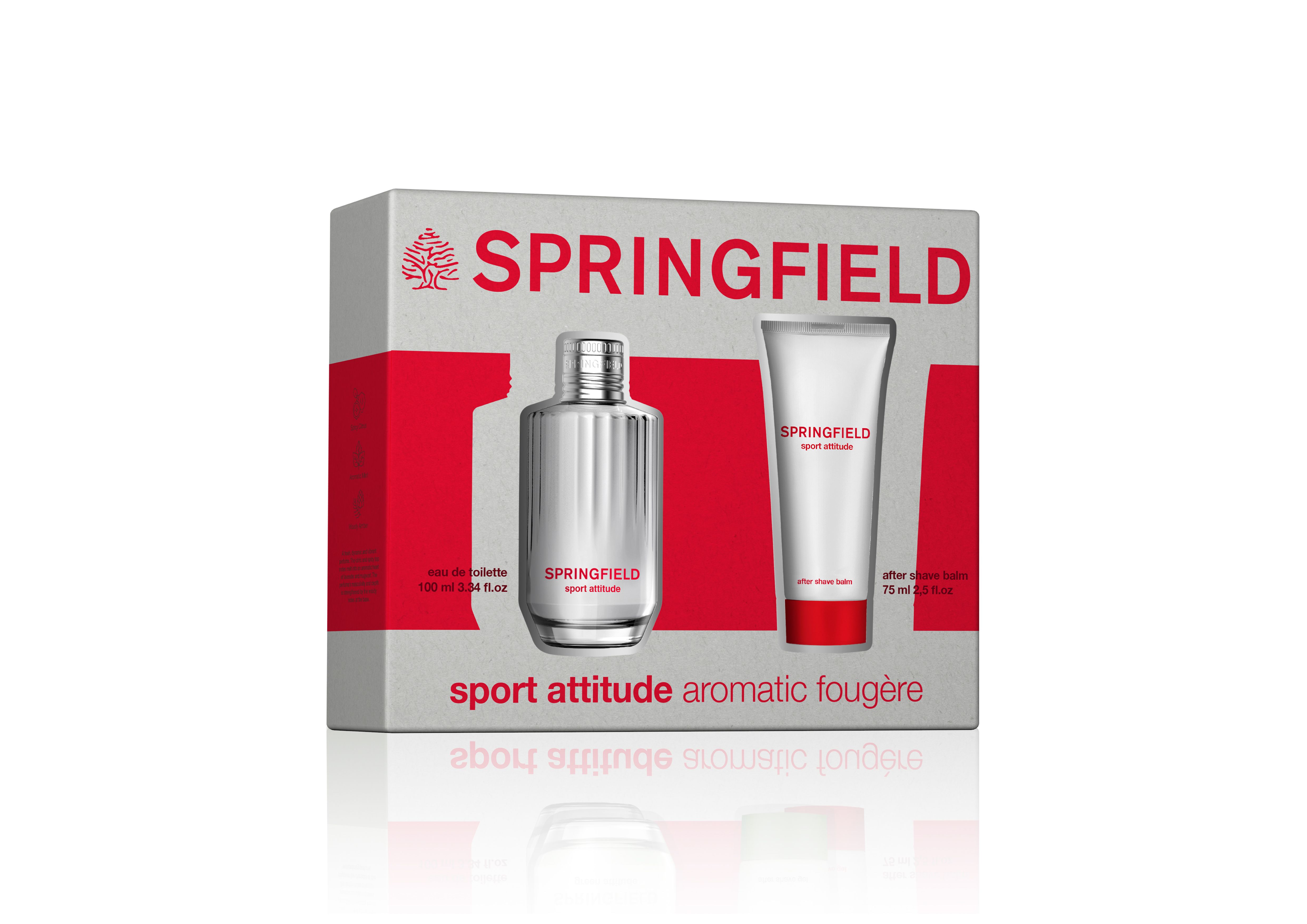 Sport Attitude Aromatic Fougère Eau de Toilette Futrola Kutije parfema za muškarce