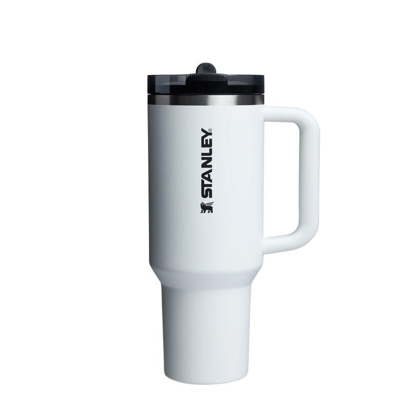 Stanley Quencher ProTour