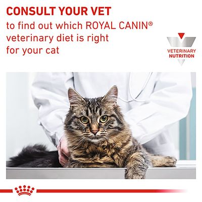 Royal Canin Vétérinaire Chat - Soutien de la satiété