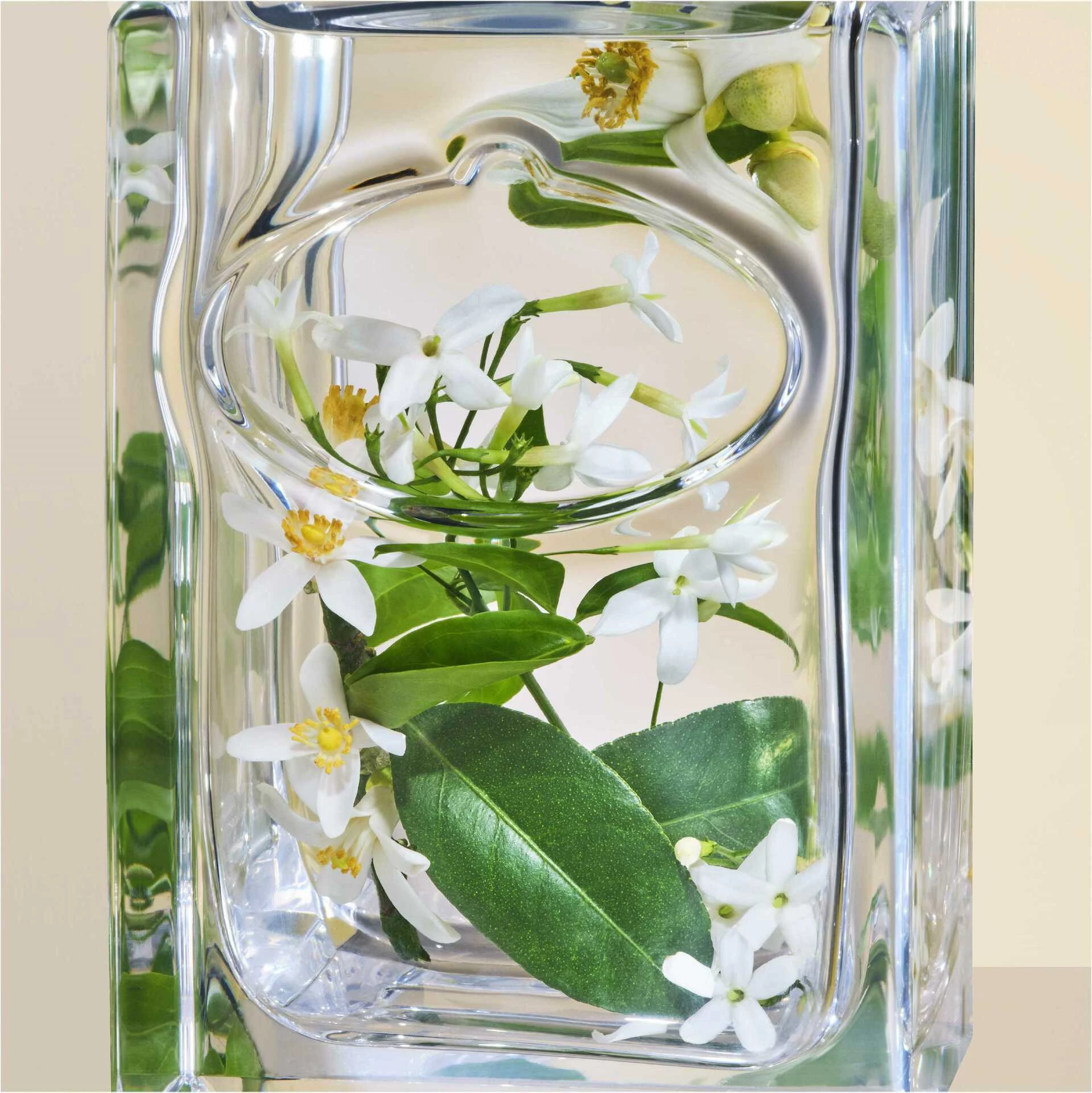 Infusion De Fleur D'Oranger EdP 100 ml - Prada