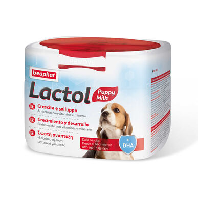 Beaphar Lactol -rintamaito vastasyntyneille pennuille 250 g