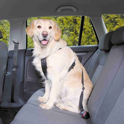 Trixie Hundesele til bilen