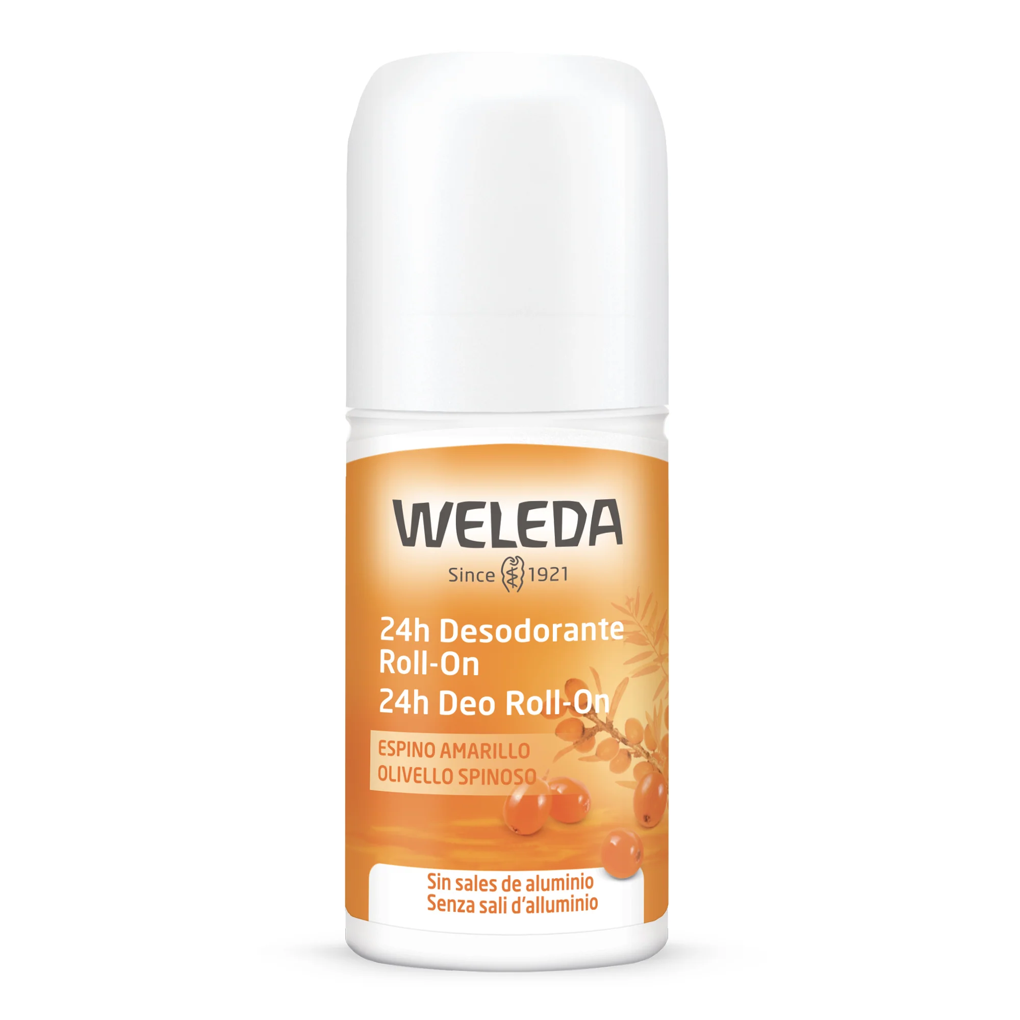 Corpo 24h Deo Roll-On OLIVELLO SPINOSO - Deodorante Roll-on