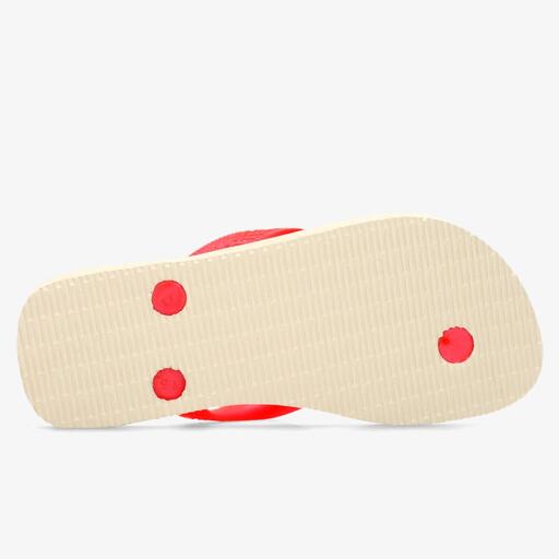 Kvety Havaianas