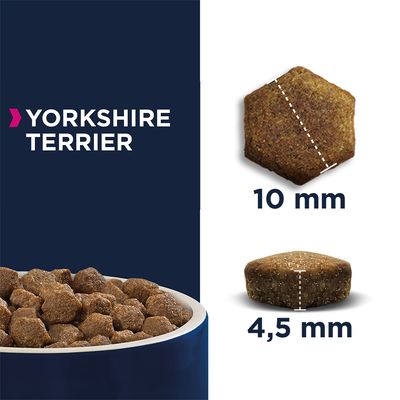 Eukanuba Yorkshire Terrier adulto
