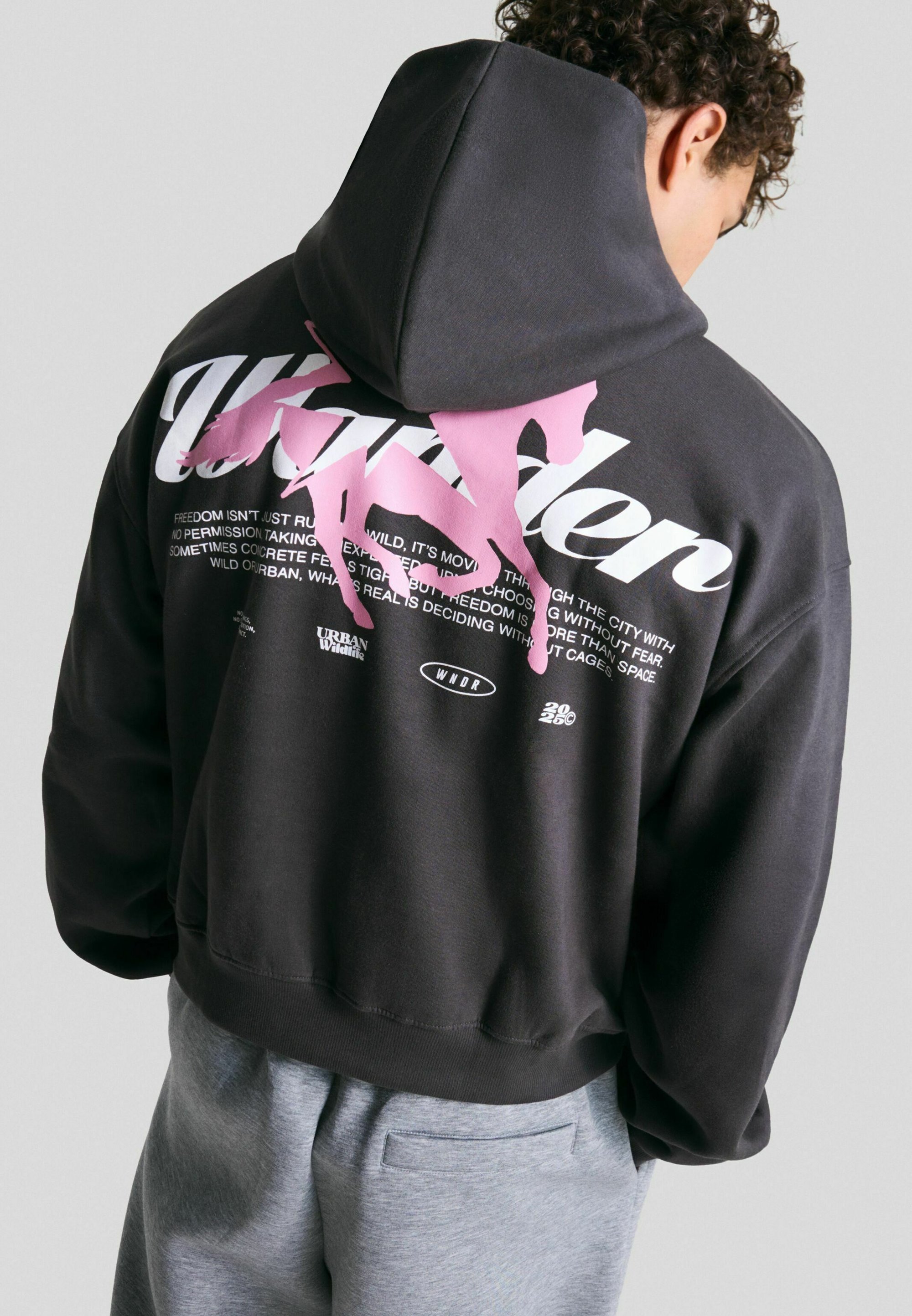 Bershka PRINTED - Hoodie - dunkelgrau