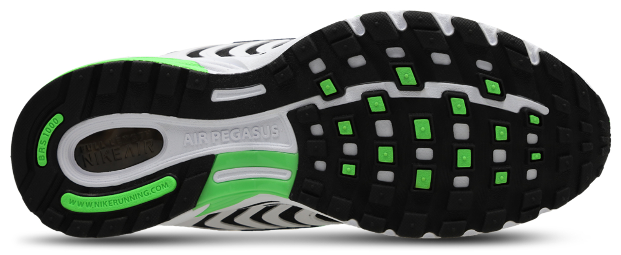 Nike Pegasus 2005